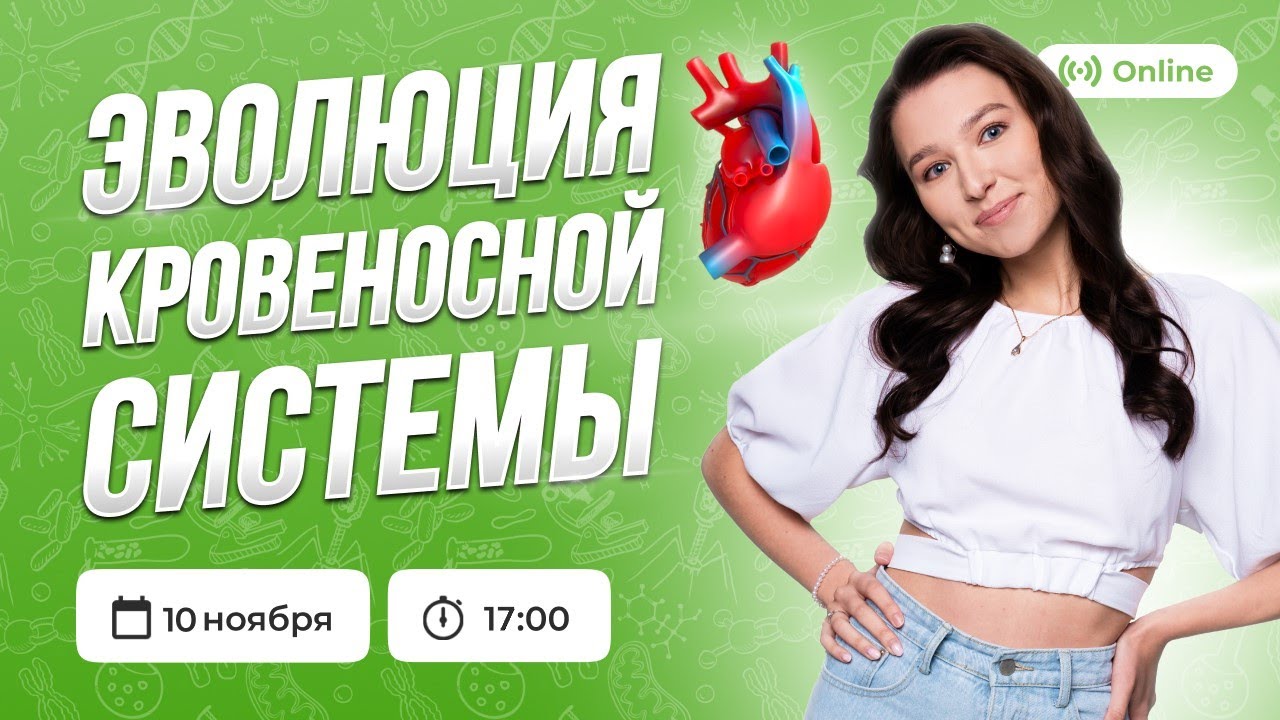 ЭВОЛЮЦИЯ КРОВЕНОСНОЙ СИСТЕМЫ | БИОЛОГИЯ | ОГЭ 2023 | 99 БАЛЛОВ - YouTube