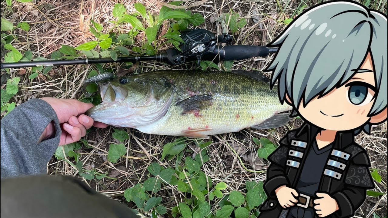 ファイトシーン🔥タイムスタンプ有り【バス釣り】 Bass Fishing Japan