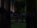 Majungasaurus : Carnivores Dinosaur #jurassicworld #jurassicpark #jwe2gameplay #dinosaur