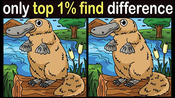 Spot The Difference image #45  fun puzzle game in 90 second