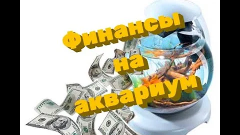Стоимость содержания аквариума.