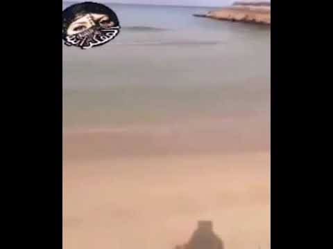 بين شطين وميه محمد قنديل