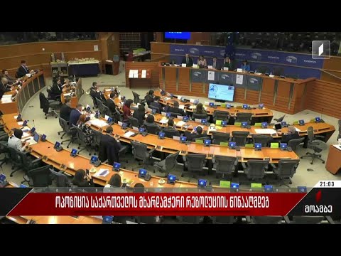 ოპოზიცია საქართველოს მხარდამჭერი რეზოლუციის წინააღმდეგ