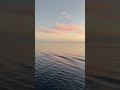 Sunset On Royal Caribbean Independence Of The Seas | #shorts