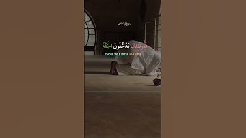 تلاوة خاشعة من سورة النساء تريح القلب وتبعث الطمأنينة #سورة_النساء #قرآن #Quran