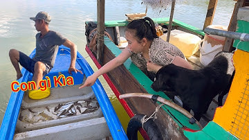 Lênh Đênh Trên Biển Giăng Lưới Tìm Bữa Cơm Trên Ghe Mới