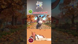 Big and Little Animal Friends! 🐘🐰 | Fun Animal Song for Kids! Elephant, Fox, Donkey, rabbit, Dog