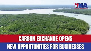 Carbon exchange opens new opportunities for businesses