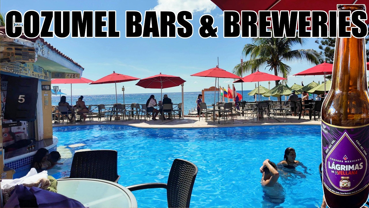 Cozumel Cruise Port Area Bars & Breweries 2026 Vlog