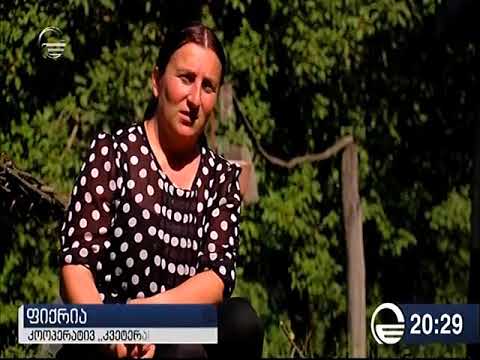 ერთი დღე ილტოს ხეობაში