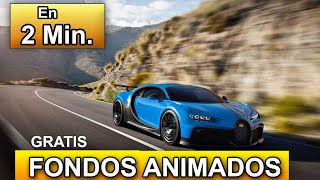 Como tener fondos animados con LIVELY WALLPAPER GRATIS - windows 10  wallpaper animado live wallpaper - YouTube