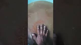 साफ &amp; Pure Ragi Cleaning Process 🌾 (Healthy Choice!)