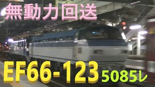 無動力回送 山陽本線 下り 貨物列車 5085レ EF210-159号機 機関車 牽引 ムドEF66-123号機 コンテナ16両編成 貨物 JR貨物 海田市 2020.1.21 00168