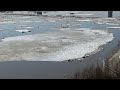 Начало ледохода на Оби в городе Барнаул...