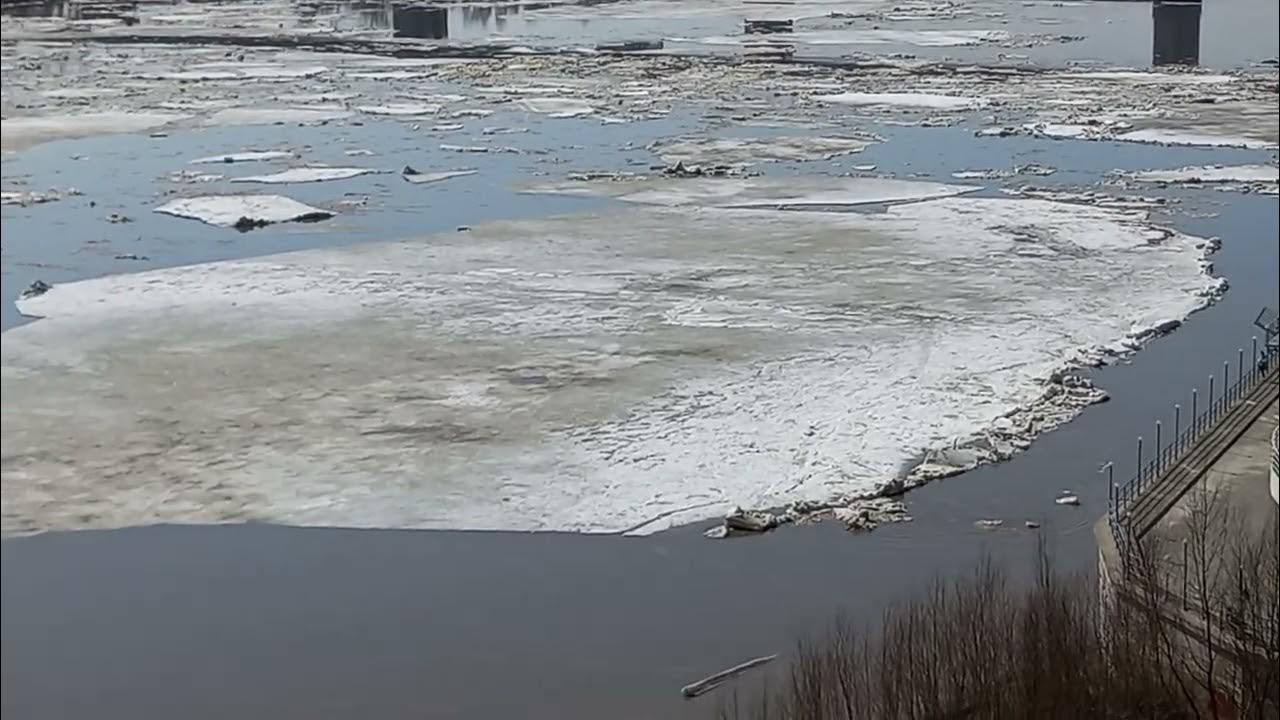 Ледоход на оби 2024 прогноз. Барнаул река Обь ледоход. Начало ледохода. Начался ледоход на Лене Енисее Оби.