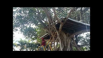 My friends surprised at Brindavan Valley🌲🏠
