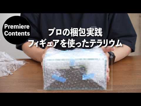 Professional packaging that keeps the terrarium intact even when turned upside down