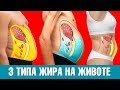 3 типа жира на животе: какой из них у вас?👀