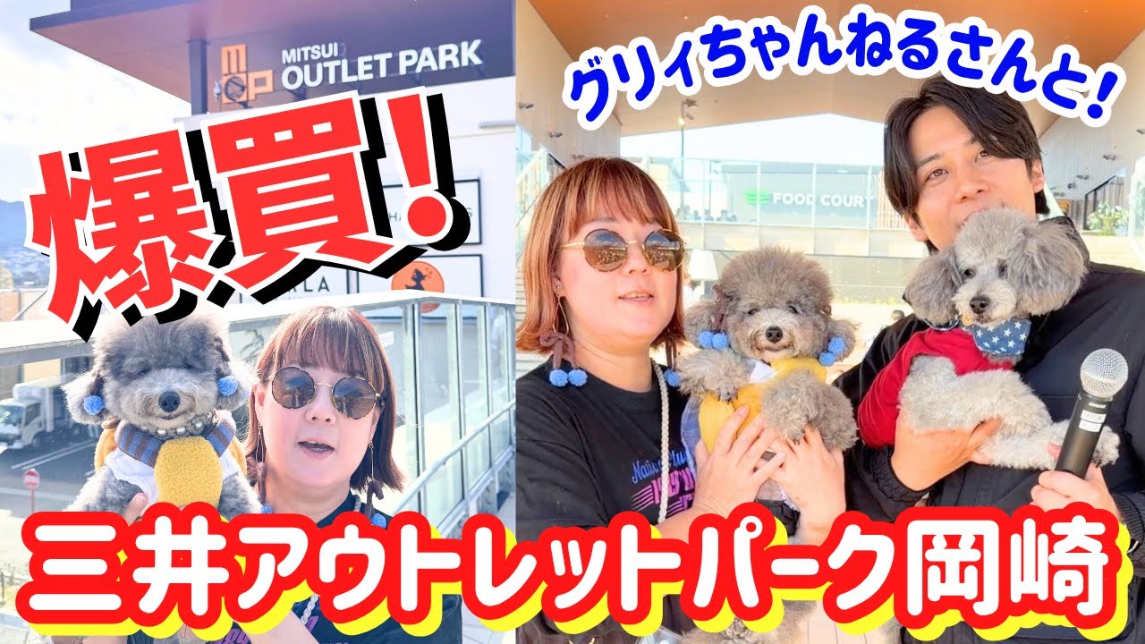 まさかの展開…グリィちゃんねるさんとステージへ！【神回】愛犬と三井アウトレットパーク岡崎で爆買い！