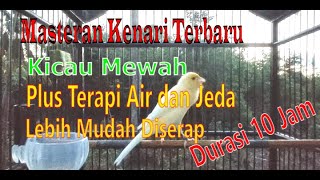 Download lagu Masteran Kenari Kicauan Mewah!!! Dengan Jeda Plus Suara Air Jernih & Mudah D mp3