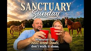 Sanctuary Sunday