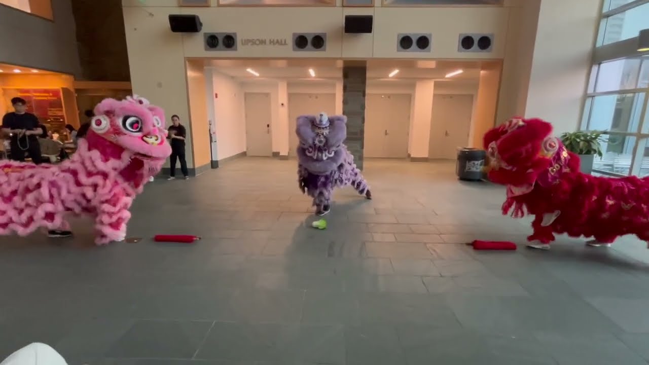 Hope Night | Cornell Lion Dance