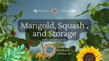 Growing and Saving Your Own Seeds: Tips for Storing Marigold and Squash Seeds in New Mexico