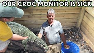 Our Crocodile Monitor is Sick and Goes to the Vet