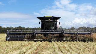 Fendt Ideal 10T with 45ft. MacDon FD245 Harvesting Canola | Big Harvest