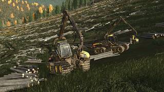 Last Trees Cut Down  S5 E5  Multiplayer Monday  Holmkra Forestry