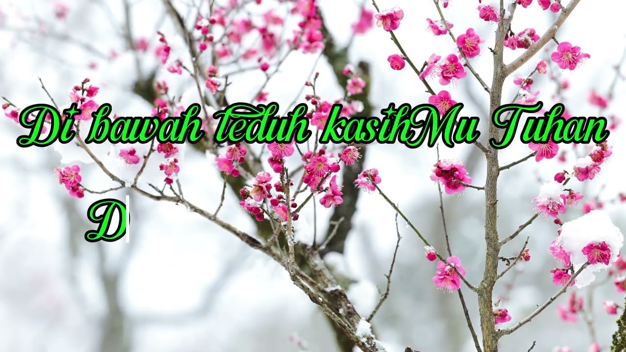 DI BAWAH TEDUH KASIH-MU