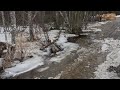 "We’re SINKING… Spring Melt is Ruining Everything! (Firewood Race Against Time)”