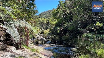 East Maui stream flow conditions (March 3, 2025)