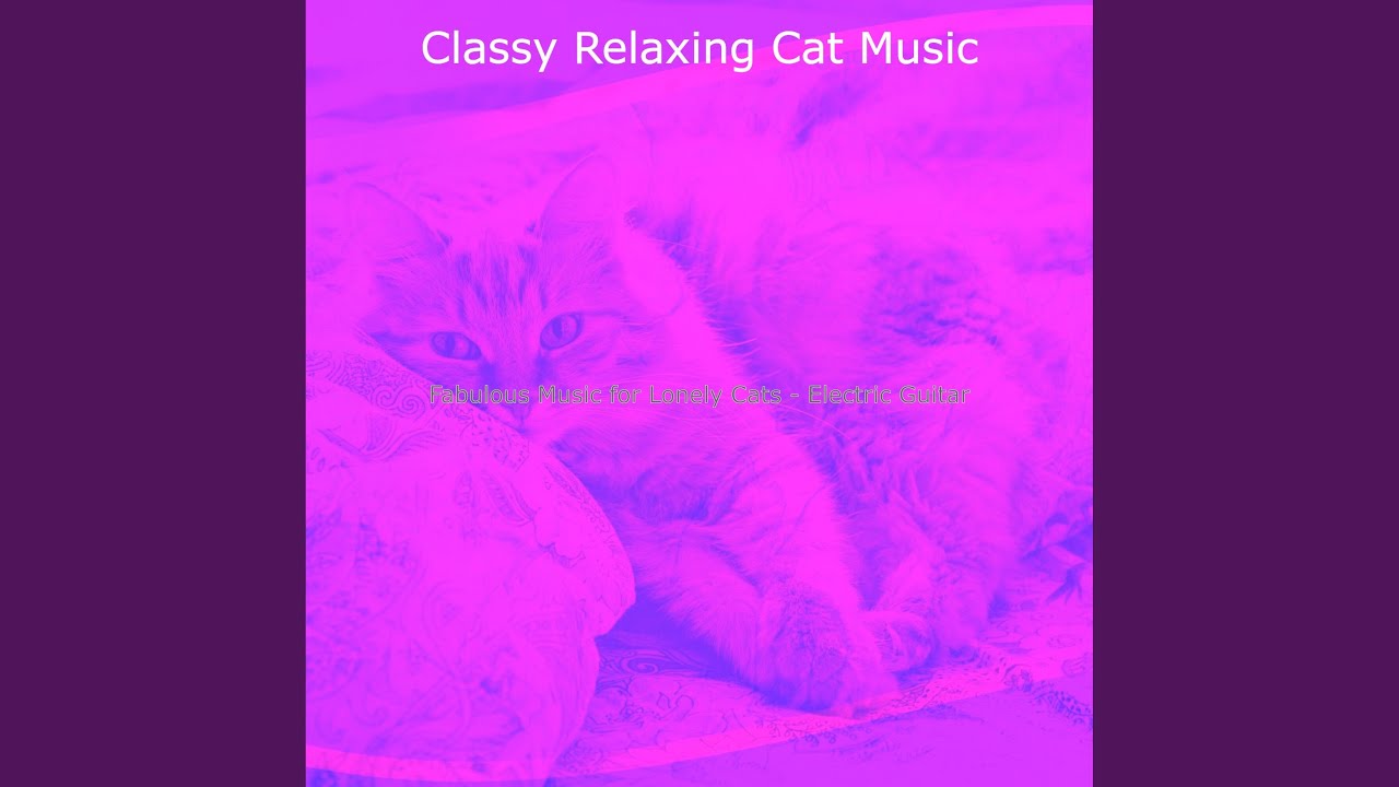 Refined Ambience for Relaxing Cats
