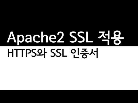 SSL 인증서 설치