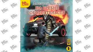 На гребне обстоятельств (Дмитрий Шелег). Читает Михаил Алексеев_demo