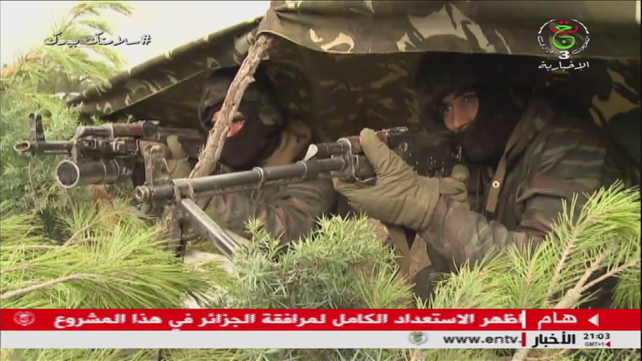 أشاوس الميدان ...وجه الصمود و الإصرار