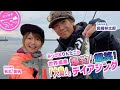 【釣り時季】みっぴ&りんたこの世界遺産「大島」で爆釣!爆笑!デイアジング!