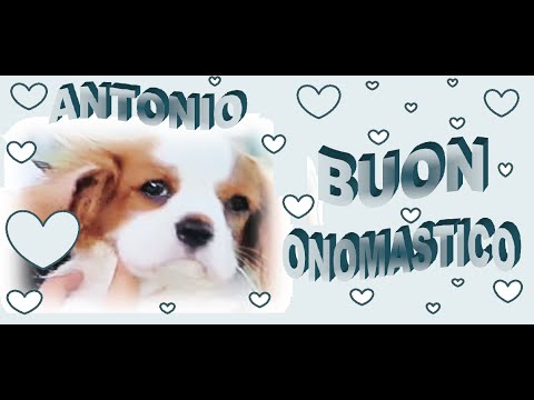 Buon Onomastico ANTONIO 13 giugno San AntonioTanti Auguri Antonio"