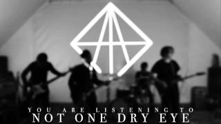 Video thumbnail of "Dreamer & Son - Not One Dry Eye (Official Audio Stream)"