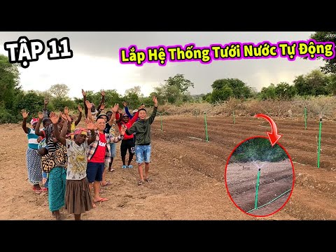 Video (Tập 11) Nông Nghiệp VIỆT NAM ở Châu Phi || Thành Công... - youtube