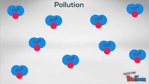 Deforestation Animation RCMS