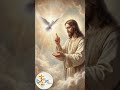 Night Prayer #shortprayer #catholicprayer #nightprayer