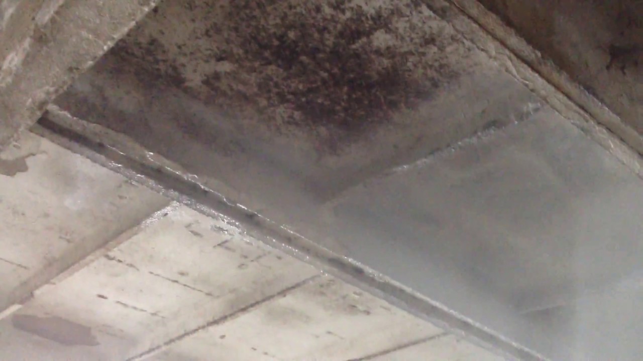 Обработка коровника гашеной известью - 85 фото