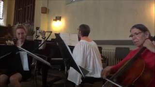 Musical saw, cello & piano - Ave Maria by Caccini @SawLady