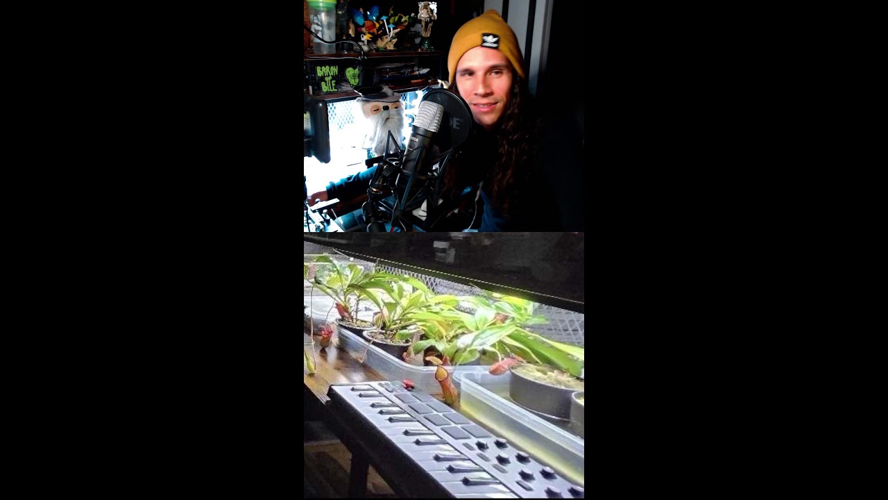 CELLSCAPE DEMO + LIVE MICROSCOPY COLLAB W/ @EverSmaller 🦠🔬  *NEW STICKERS* !store !subi !socials