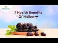 7 Amazing Health Benefits Of Mulberry