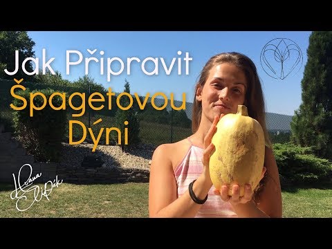 Video: Jak Připravit Dýňové Palačinky