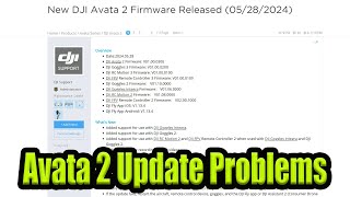 DJI Avata 2 Goggles 2 & RC2 Firmware Update PSA - Update Your App!