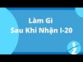 Du Học Mỹ Cần Những Gì? Sau Khi Có I-20